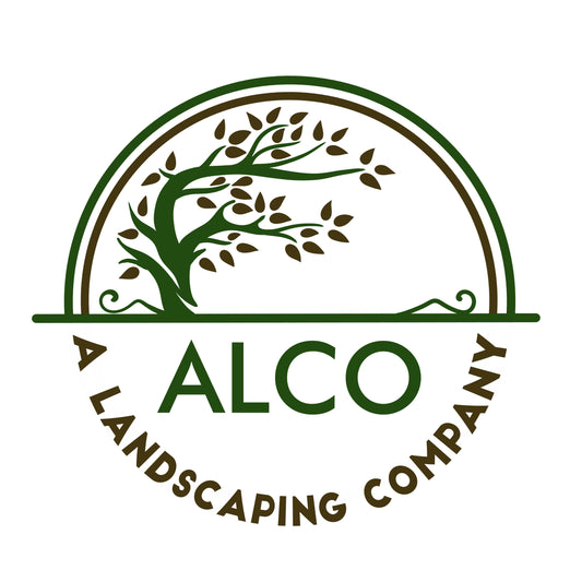 Top Landscape Solutions in Auckland: Transform Your Outdoor Space